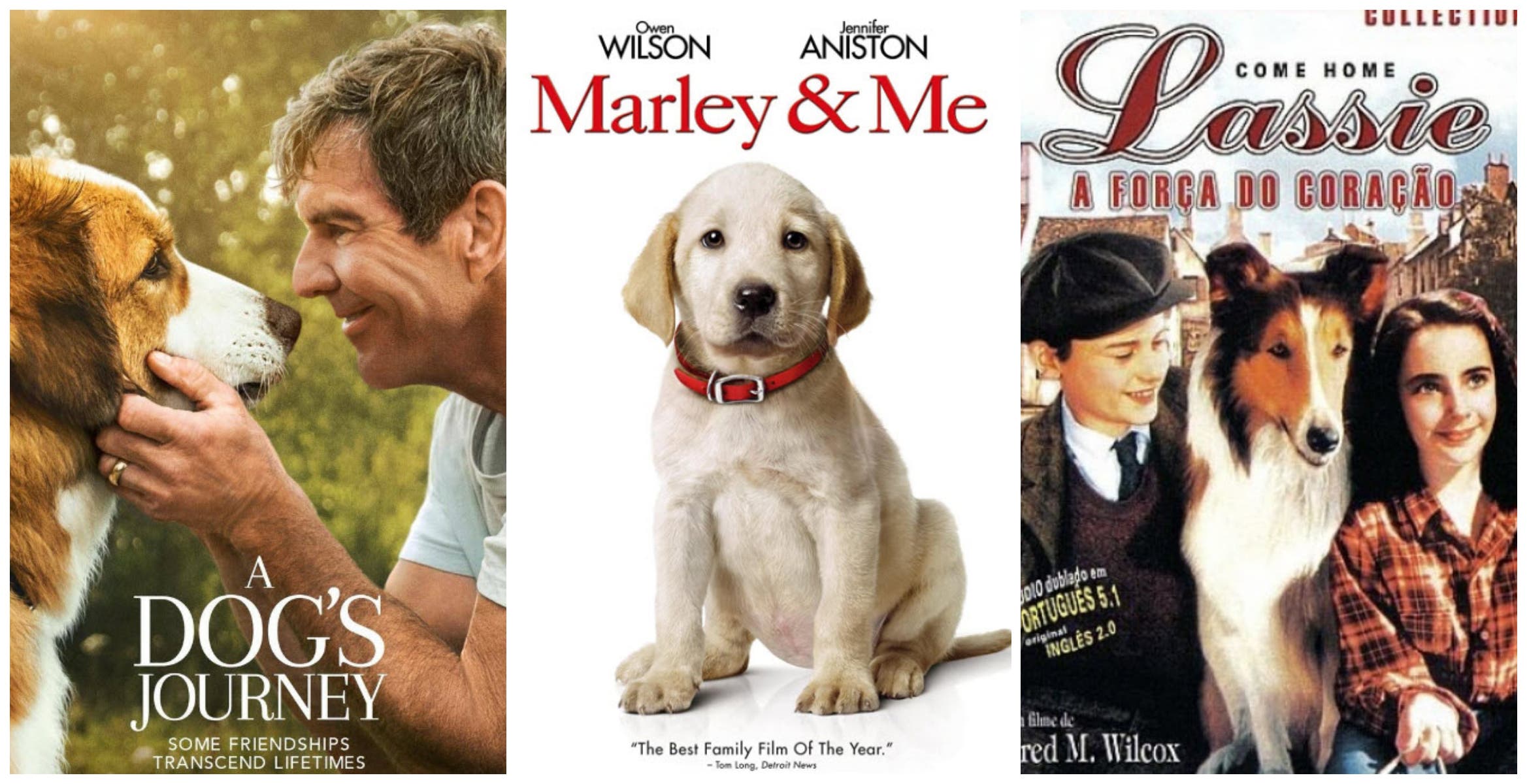 7 MustSee Dog Movies Starmometer