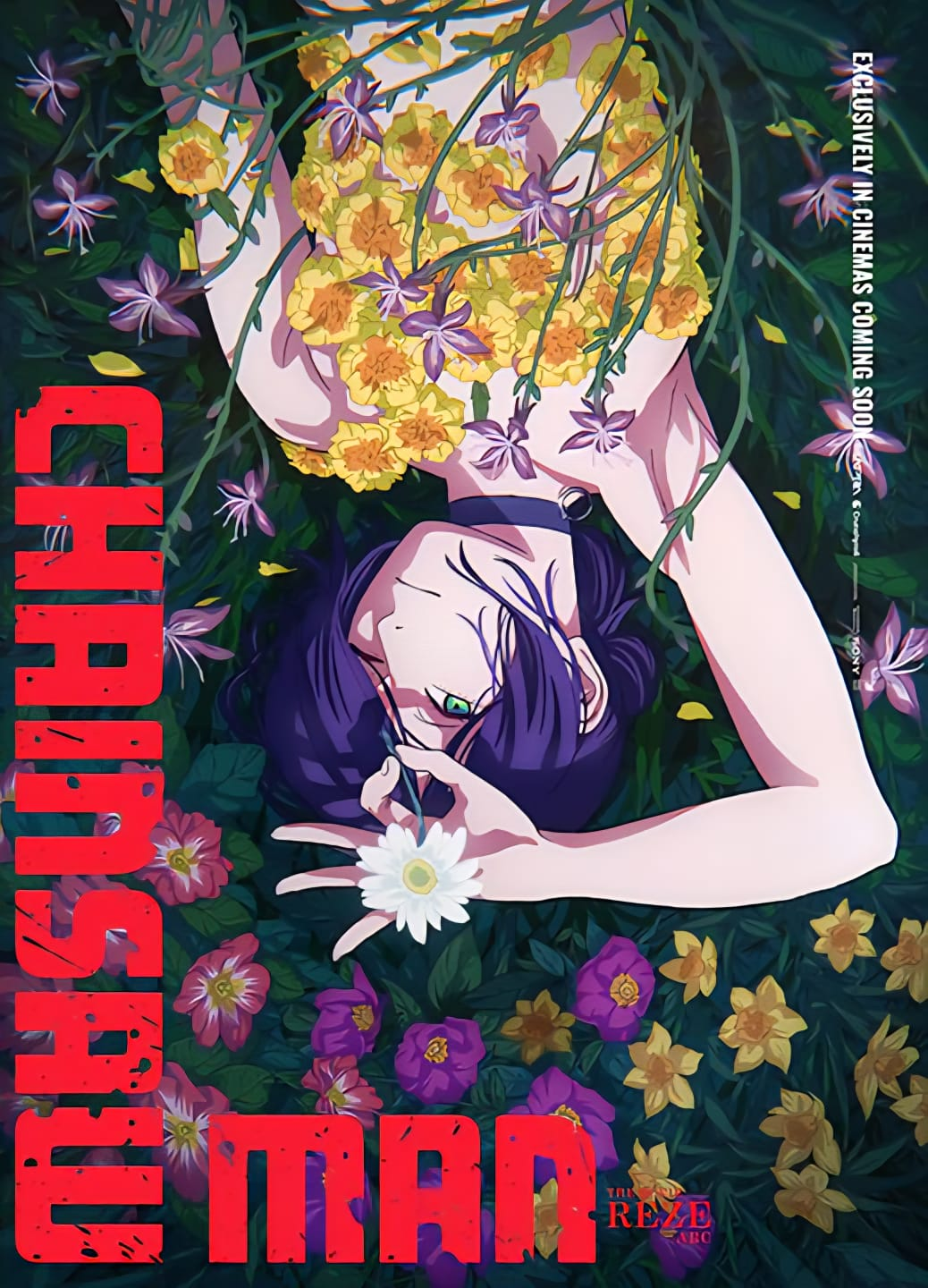 image (24)