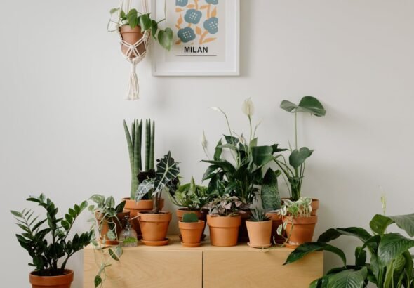 pexels-cottonbro-9707248