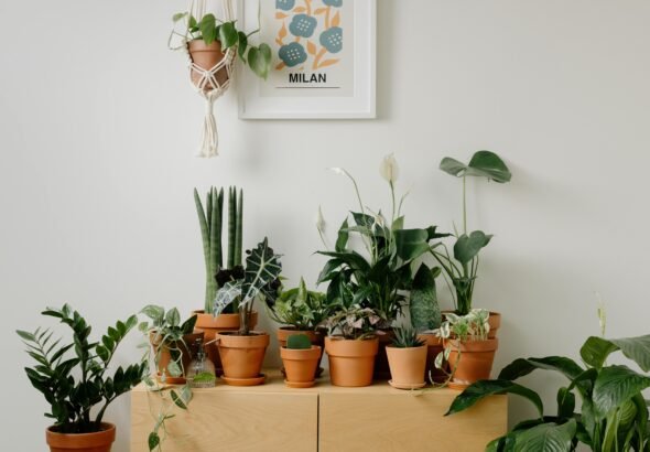 pexels-cottonbro-9707248 (1)